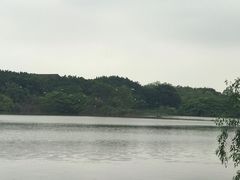 -大湾区中央湿地公园