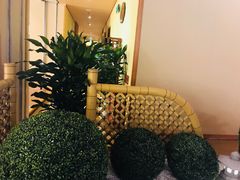 -汤泉良子(金源店)
