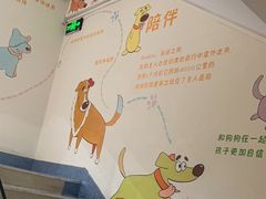 -瑞派申生动物医院·24H夜诊·国际动物医疗中心·骨外科(吴中路店)