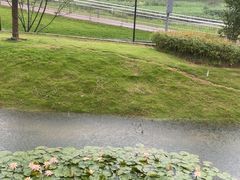 -状元人家·公园别墅衡东土菜(溪悦荟店)