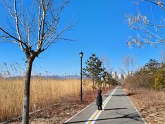 -永定河休闲森林公园