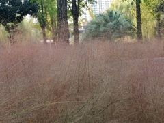 -苏州河梦清园环保主题公园