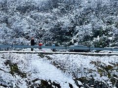 -武陵山森林公园