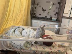 -杭州贝瑞斯美华妇儿医院·早孕·产检·儿科