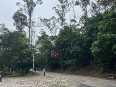-大雁山风景区