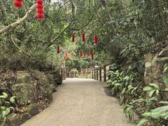-呀诺达热带雨林