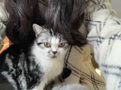 -猫小院猫主题餐厅(南锣旗舰店)
