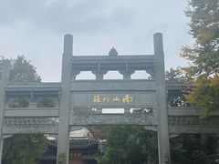 -天乐农家鱼头王(天目湖店)