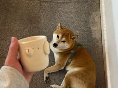 -三目仓咖啡(贤南路店)