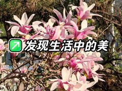 -碑林公园