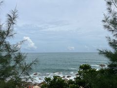 -广东惠东海龟国家级自然保护区