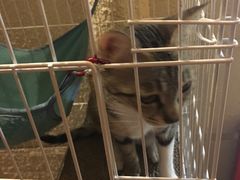 -逃脱反斗城沉浸剧情密室(北京路店)