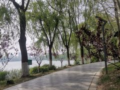 -河北省园博园