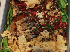 -鱼酷活鱼烤鱼(沈阳大悦城店)