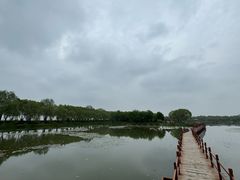-白洋淀景区