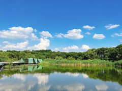 -西湖风景区-江洋畈生态公园