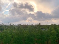 -南汇嘴观海公园