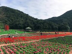 -广州市石门国家森林公园