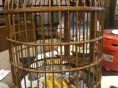 -花溪雨·森林餐厅(石基店)