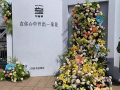 -武汉知音号