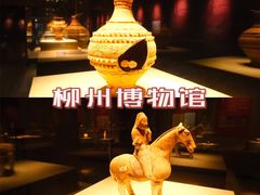 -凤张螺蛳粉·爽口粉(跃进路总店)
