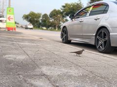 -尚泰清迈机场购物中心