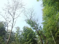 -玉女潭景区