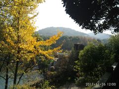 -白马涧龙池景区
