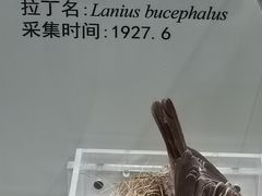 -天津自然博物馆