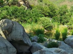 -灵溪风景区