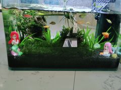-宠颐生动物医院·小陆分院