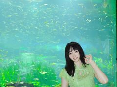 -海合安成都极地海洋公园