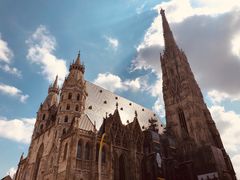 -斯蒂芬主教座堂(Stephansdom)