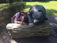 -济州岛泰迪熊博物馆