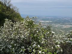 -阳台山自然风景区