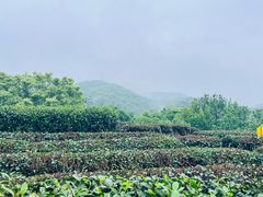 -西湖风景区十里琅珰-五云山