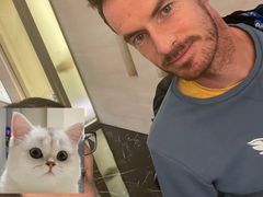 -上海波特曼丽思卡尔顿酒店