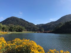 -广州市石门国家森林公园