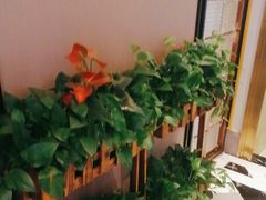 -阿明小菜·海鲜·上海菜(梅陇店)