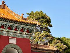 -北陵公园