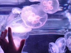 -南昌海洋公园