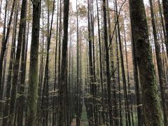 -山王坪喀斯特国家生态公园