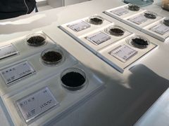 -张一元茶庄(望京店)