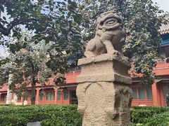 -北京石刻艺术博物馆(五塔寺)