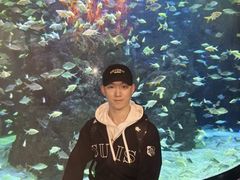 -成都浩海立方海洋公园