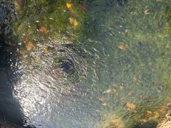 -中关村生命科学园