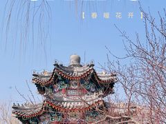 -颐和园