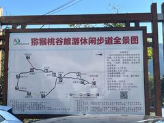 -大岭沟猕猴桃谷风景区