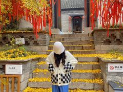 -天朝元辅-徐州民俗博物馆
