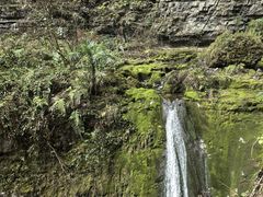 -鹿院坪生态旅游景区